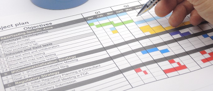 Gestión de Proyectos Internacionales